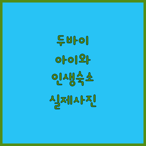 아이와 가기 좋은 두바이 리조트 추천..