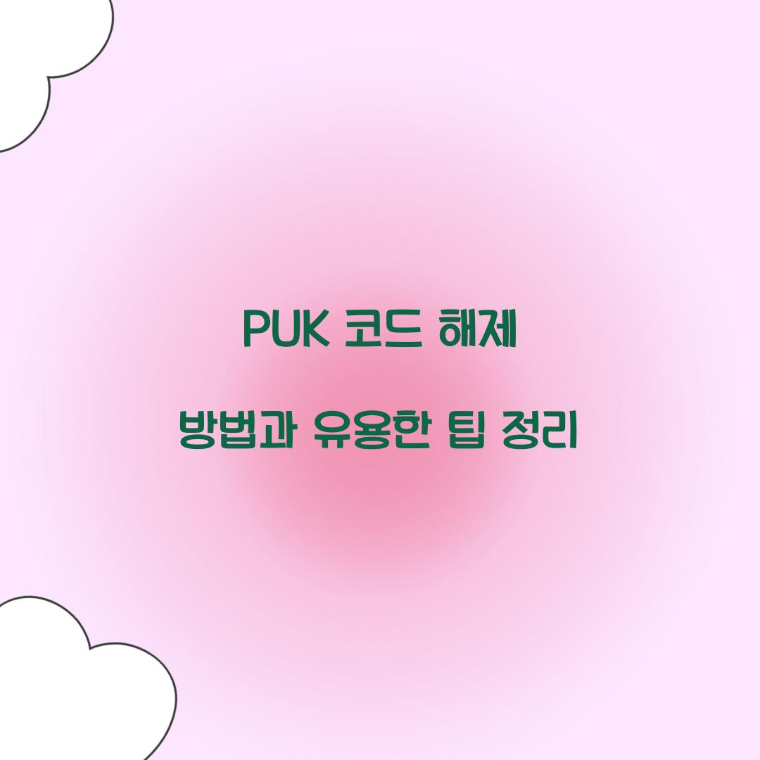 PUK 코드 해제 방법