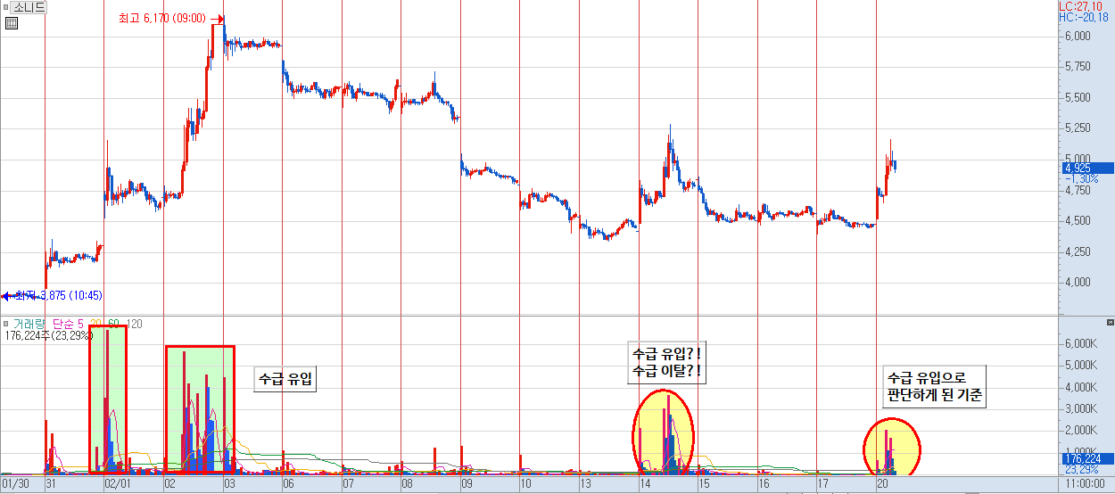 소니드 분석 차트