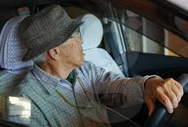 고령운전자 교통안전교육