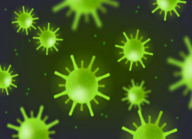 바이러스 전파 경로와 예방 방법