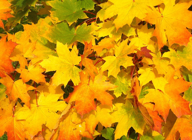 9월 인사말 모음집