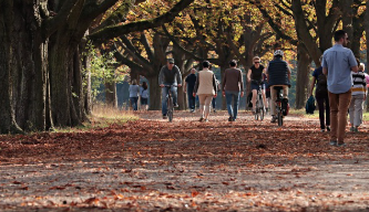 디즈니런 서울 2025 놓치면 후회하는 정보 17