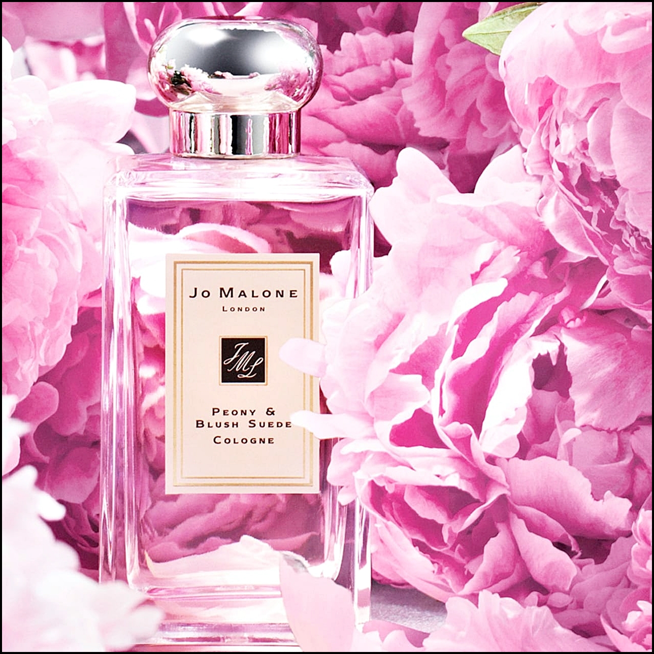 조말론 여자 향수 인기순위 BEST 5