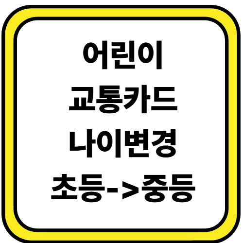 교통카드 나이변경