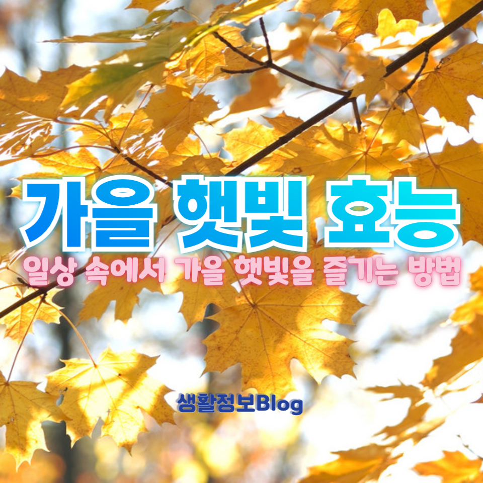 가을 햇빛 효능