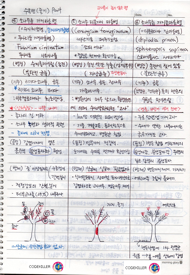 소나무류 가지마름병, 소나무 피목가지마름병, 소나무류 가지끝마름병