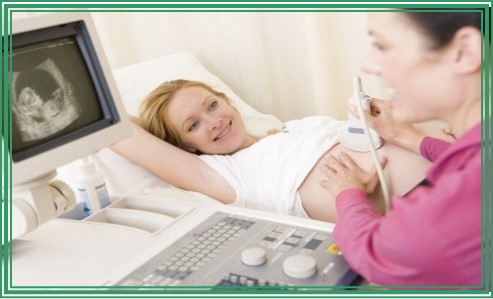 태아 초음파 사진 보는법 용어까지 알아봐요
