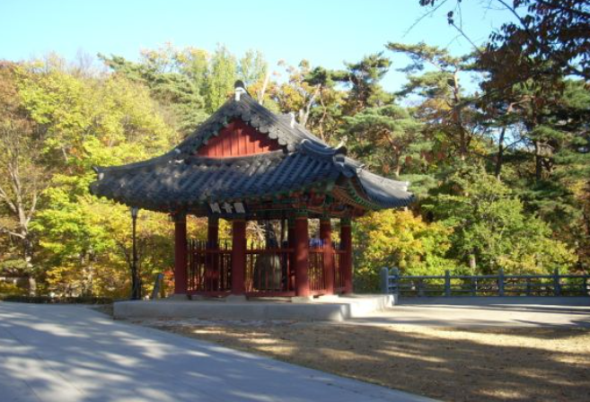 2024 올해 팔공산 단풍시기/절정시기/등산 코스 추천/실시간 단풍 상황 현황