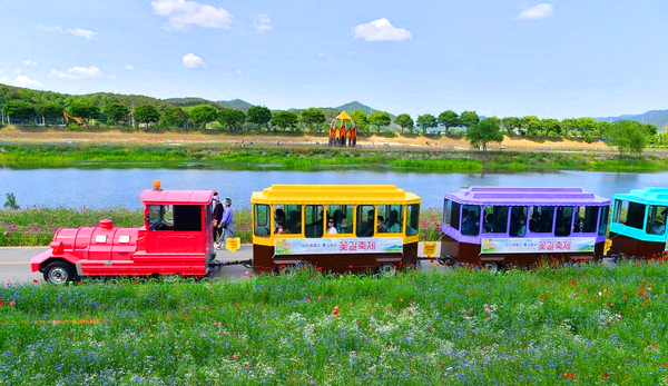 장성 황룡강 길동무 꽃길축제