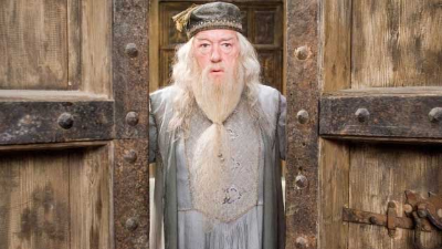 해리포터 덤블도어 역 마이클 갬본