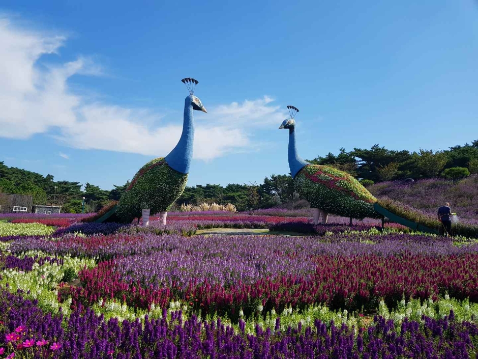 10월 지역 축제 충남 충북 가을 축제 정보