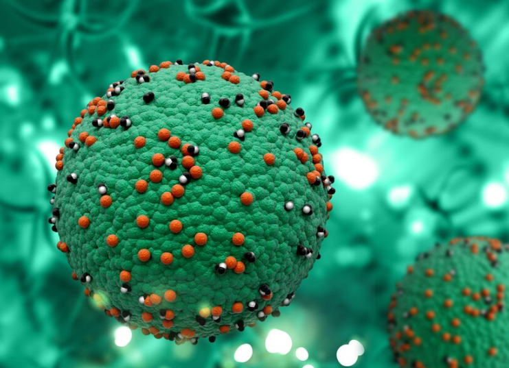 홍역 예방 접종