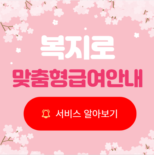 맞춤형급여안내서비스