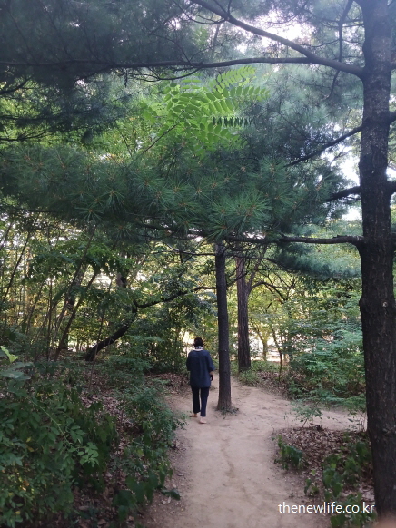 울창한 나무 사이의 조용한 숲길을 맨발로 걷는 사람, 서울 어린이대공원의 서울 맨발 걷기 좋은 곳