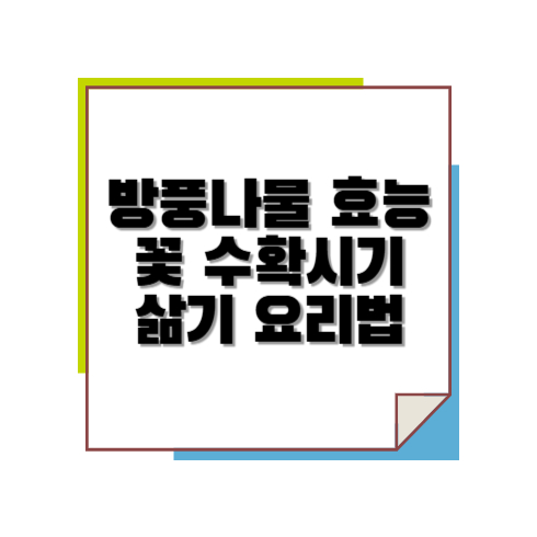 방풍나물 효능 꽃 수확시기 삶기 요리법