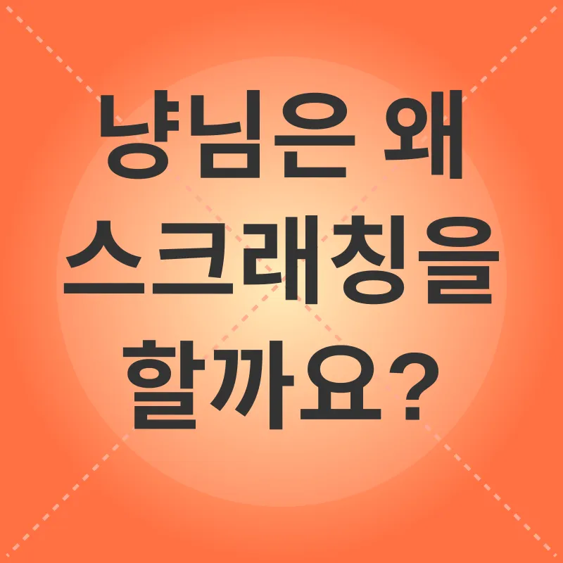 고양이 스크래쳐_1