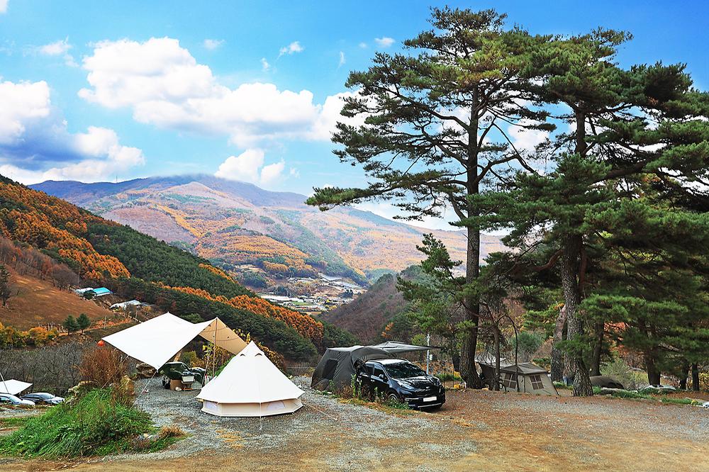평창군 산너미목장 캠핑장 소개