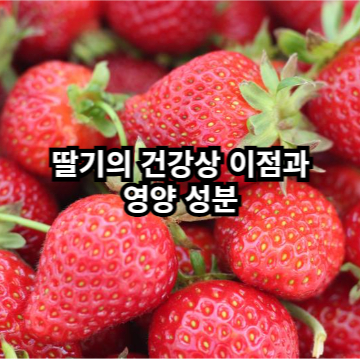 딸기의 건강상 이점과 영양 성분
