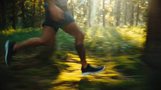 한여름 5km 러닝, 기온이 페이스와 심박수에 미치는 영향
