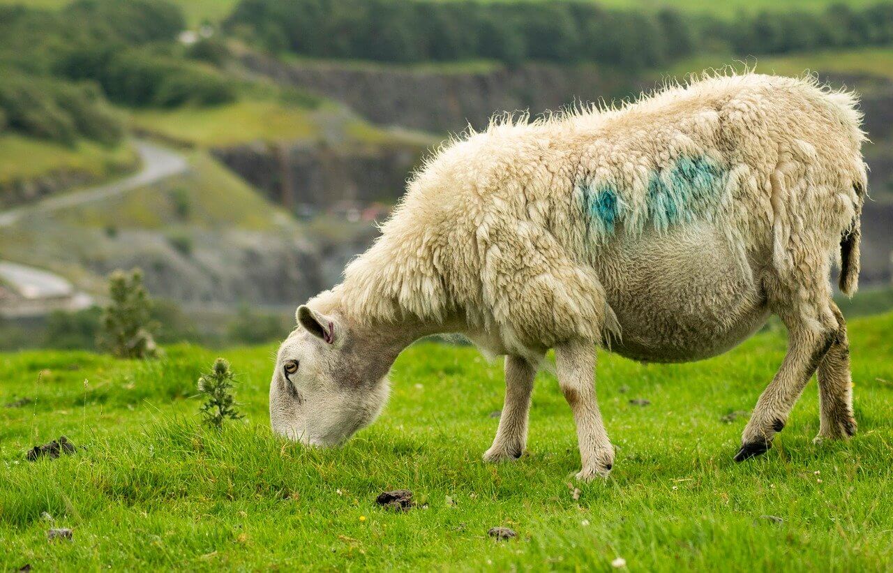 친환경 자연장 선택이 어려운 이유