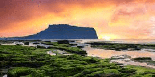 제주-돌하루팡-후기