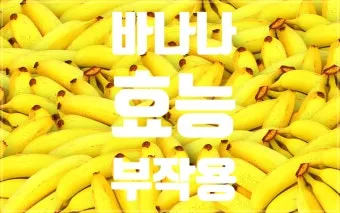 바나나 효능 식이섬유 포만감 운동 전후 효과_16