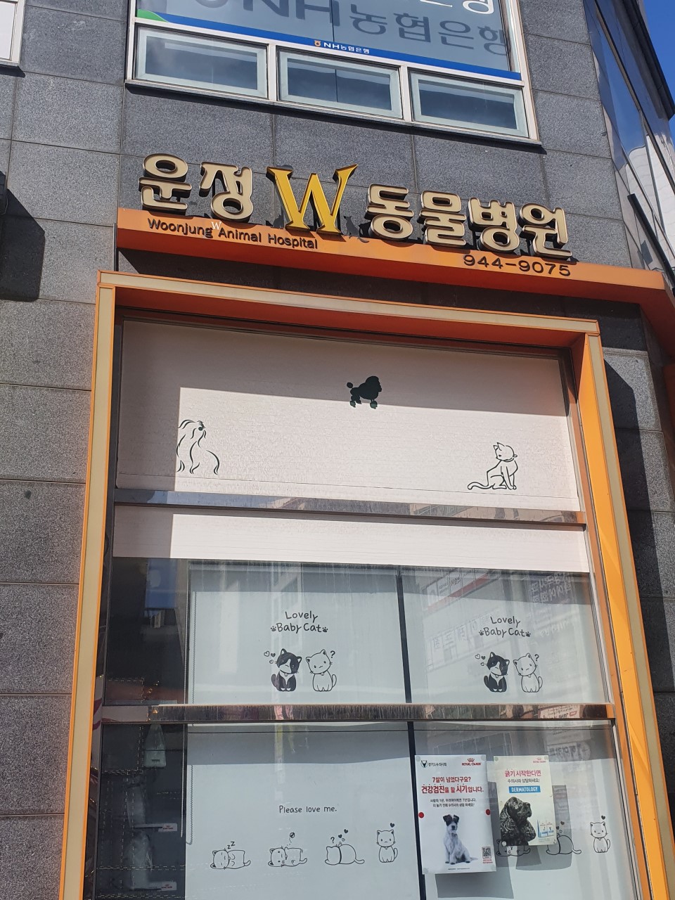 운정W동물병원