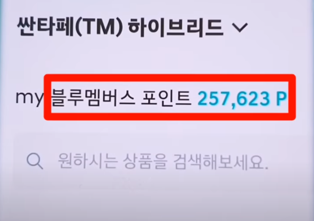 블루멤버스포인트