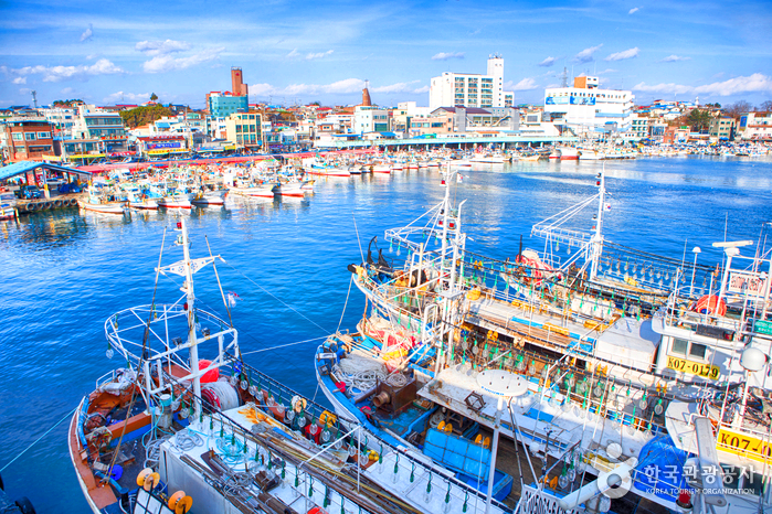 항구