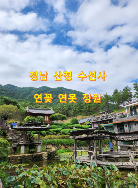 경남-산청-수선사-연꽃-연못-정원