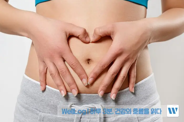 BNR17 유산균과 프롤린 유산균 효능 비교