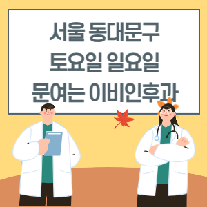 서울 동대문구 토요일 일요일 이비인후과 진료 병원 리스트