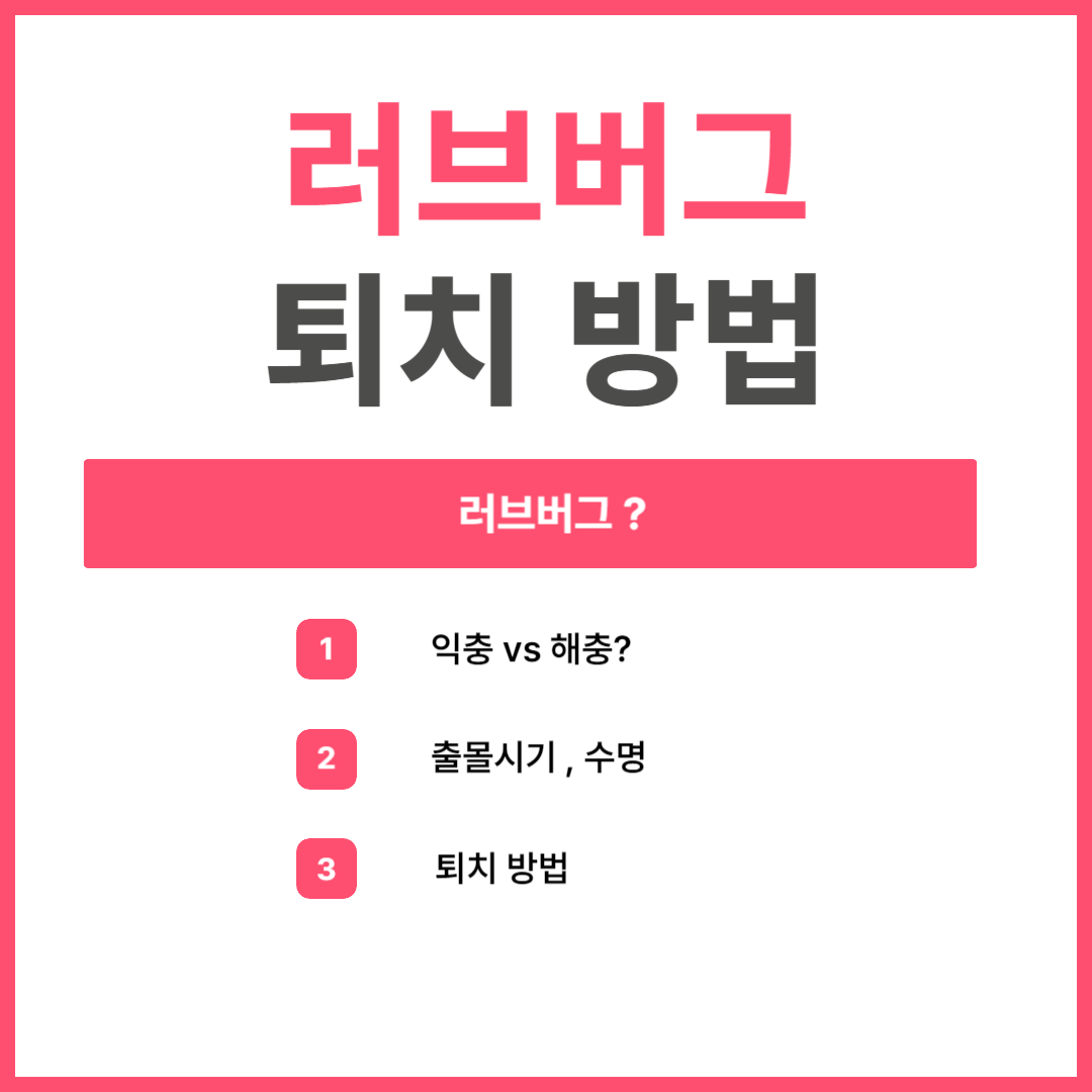 러브버그 퇴치방법 익충 vs 해충 수명