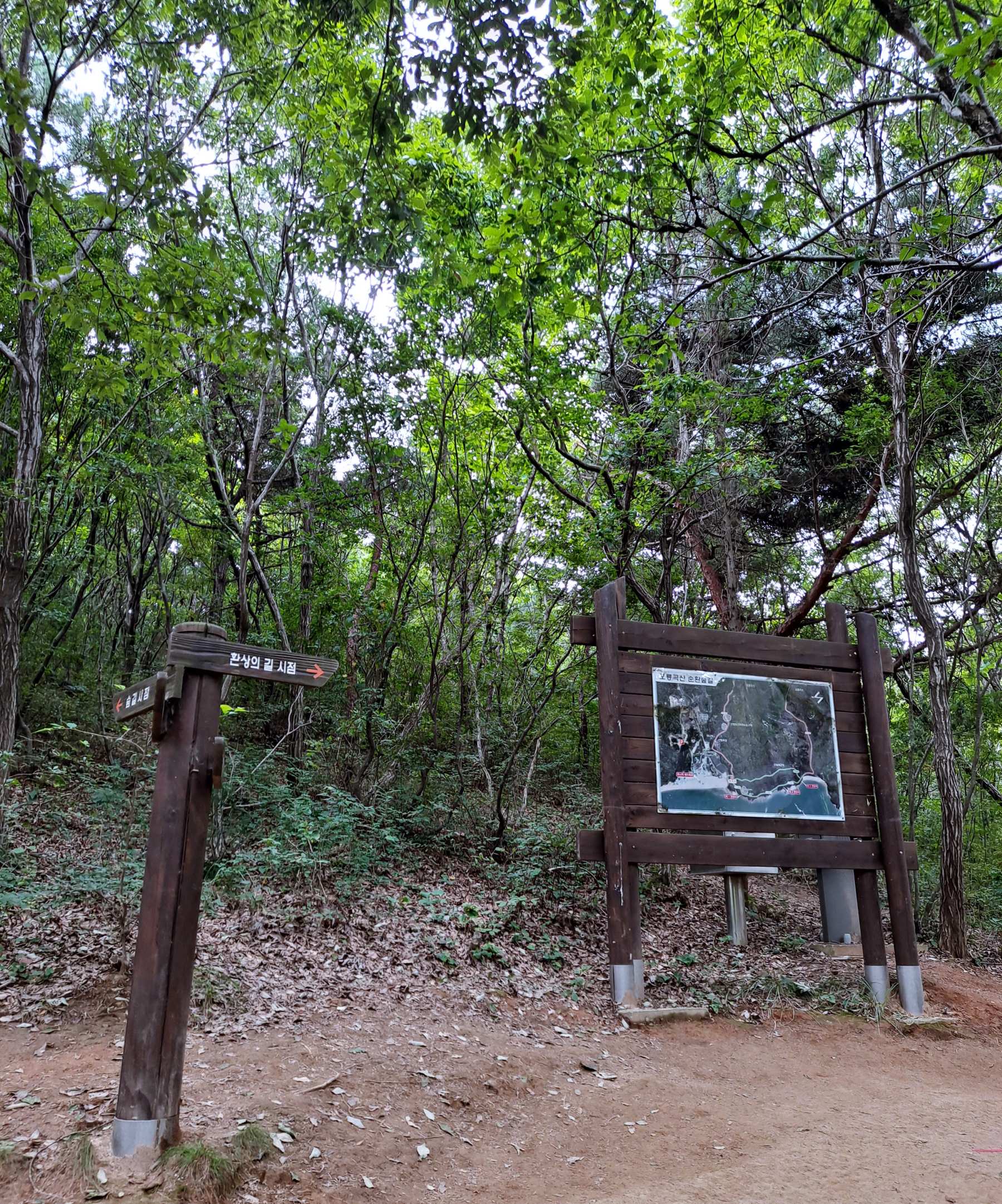 탐방로 환상의 길과 숲길