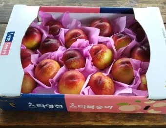 천도복숭아 효능 부작용 칼로리 섭취방법 완전 정리_9