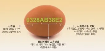 계란에 적힌 번호가 정확히 뭘까 계란 난각번호 4번 제대로 알고 먹고 있나요_11