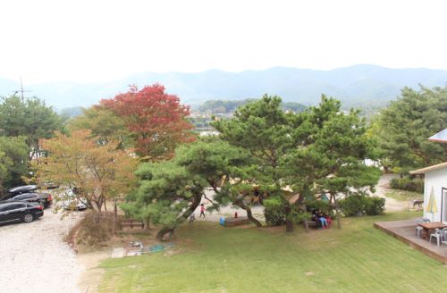캠핑장-전경
