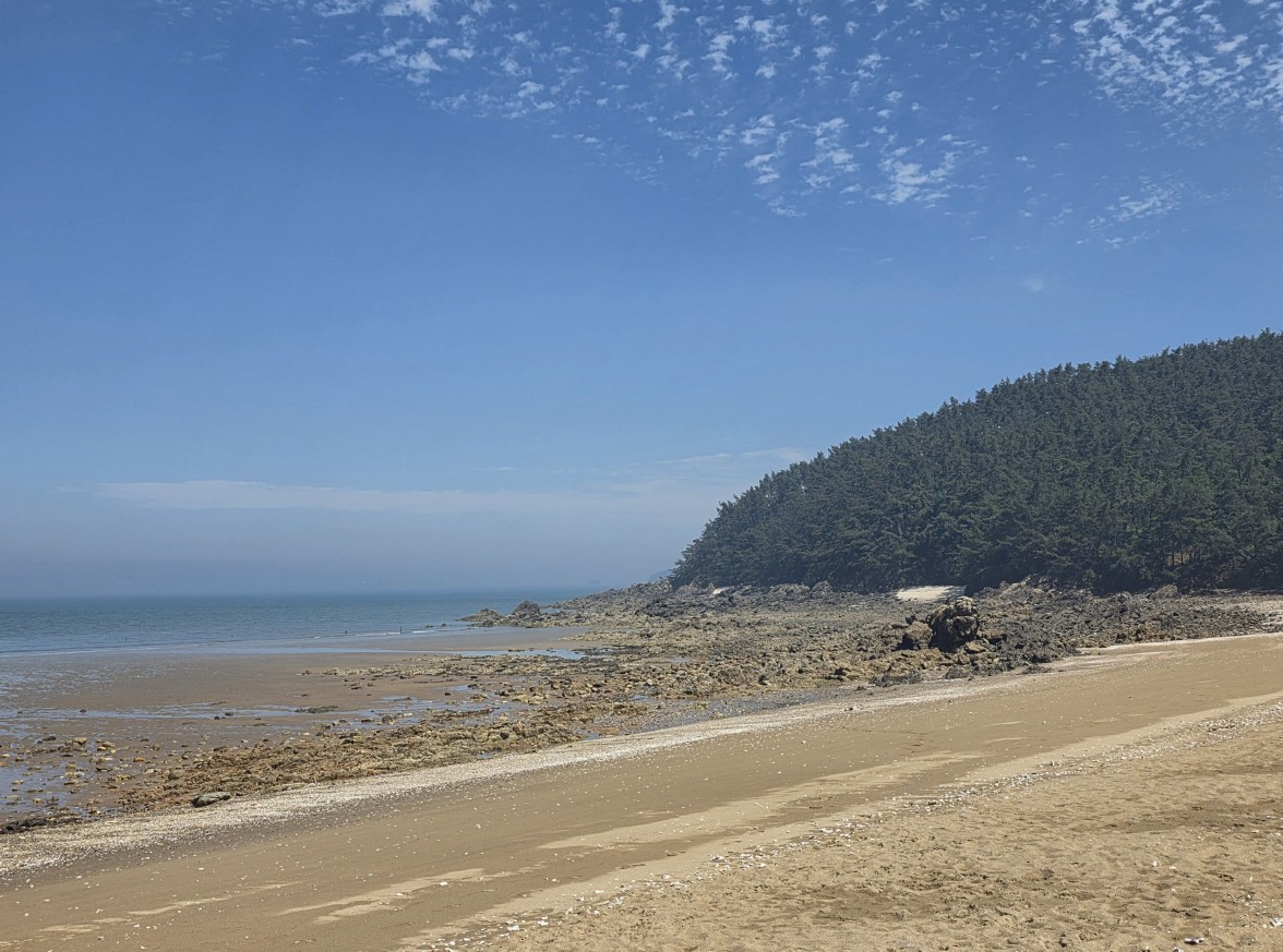 &ldquo;꾸지나무골해변에서 학암포까지&rdquo;