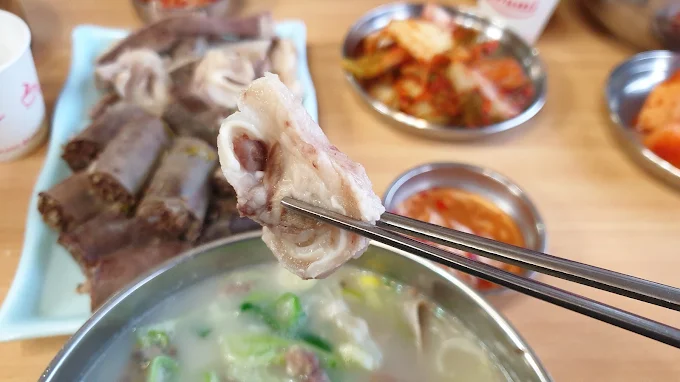 용인 처인구 백암순대 '제일식당'