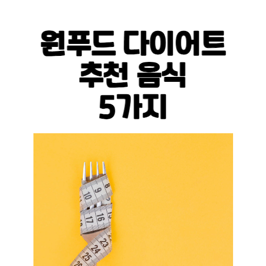 원푸드 다이어트