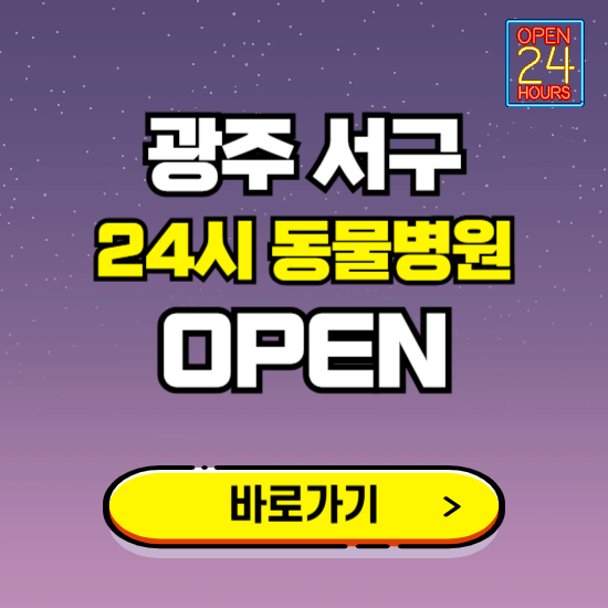광주 서구 24시 동물병원 진료하는 곳 ❘ 설날 휴일 야간 심야 문여는곳 찾기 ❘ 응급진료