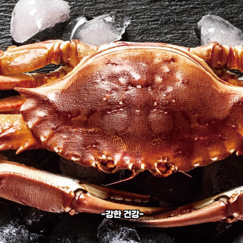 꽃게탕 손질법