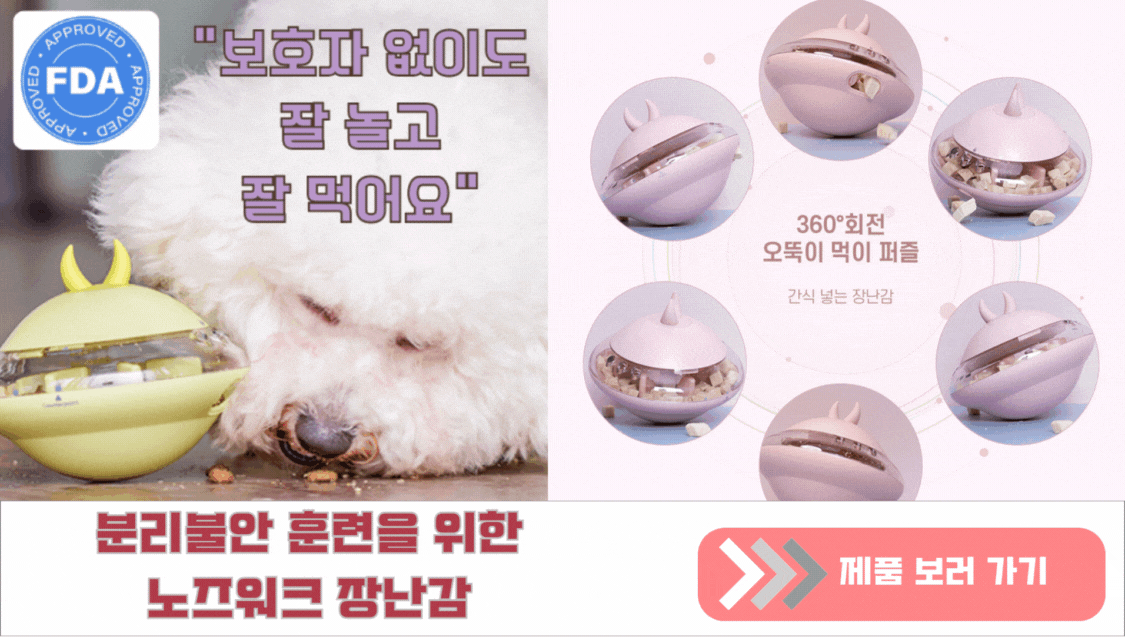 분리불안을 줄여주는 노즈워크 장난감
