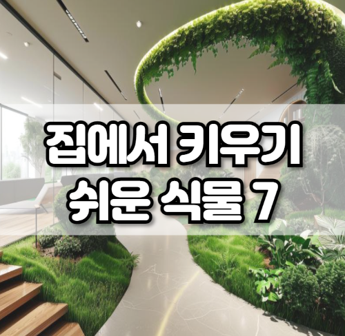 집에서 키우기 쉬운 식물