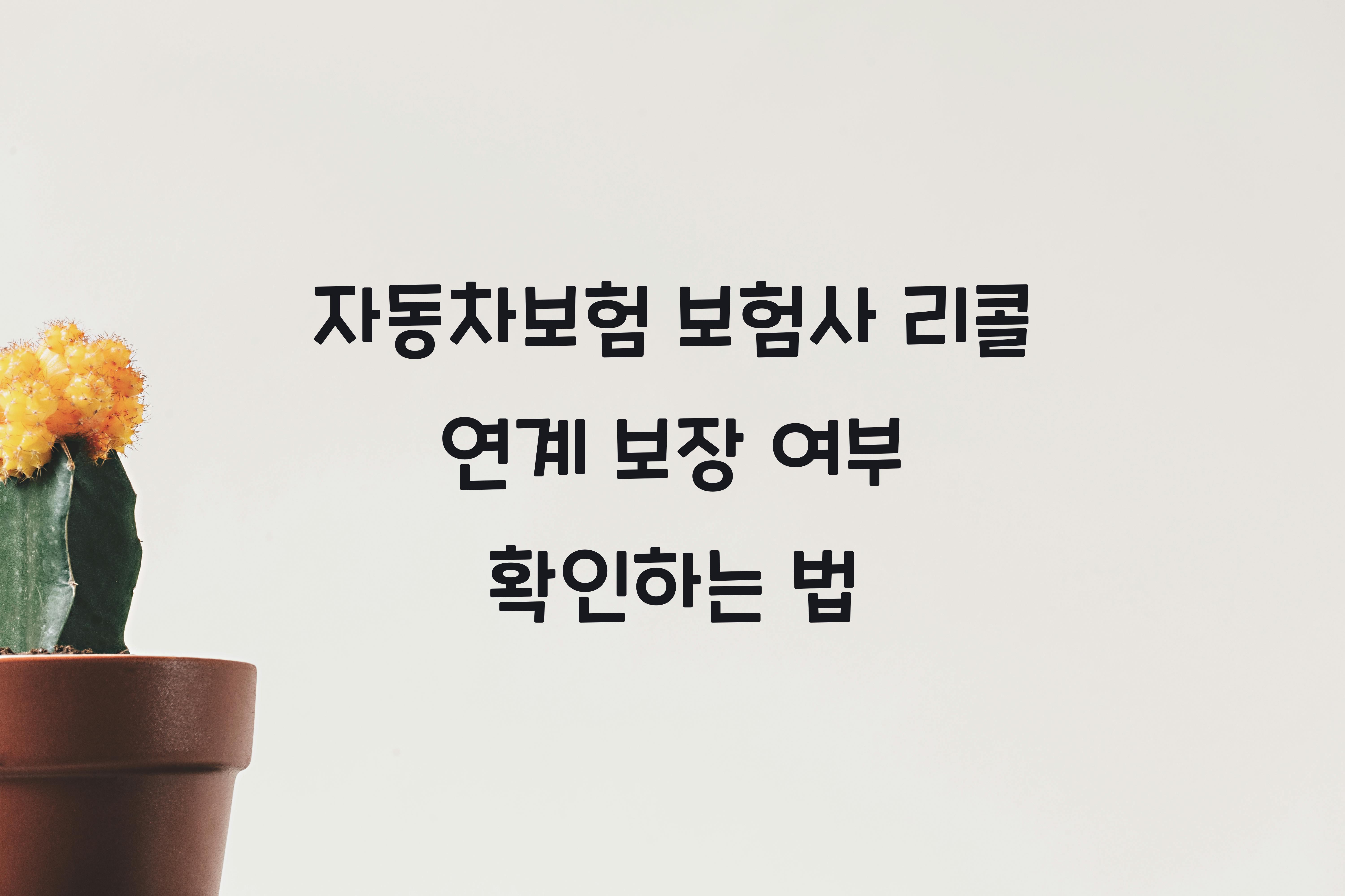 자동차보험 보험사 리콜 연계 보장 여부