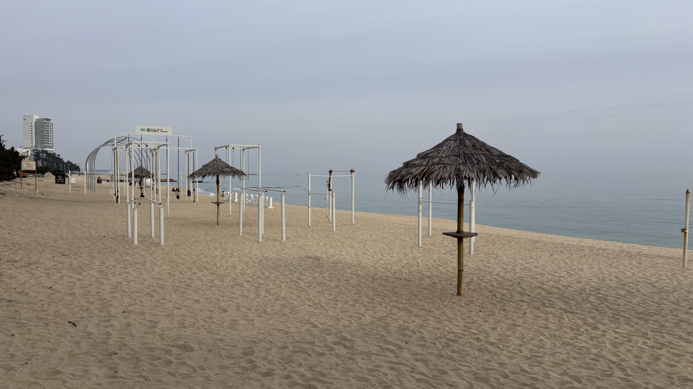  강문해변 머슬비치