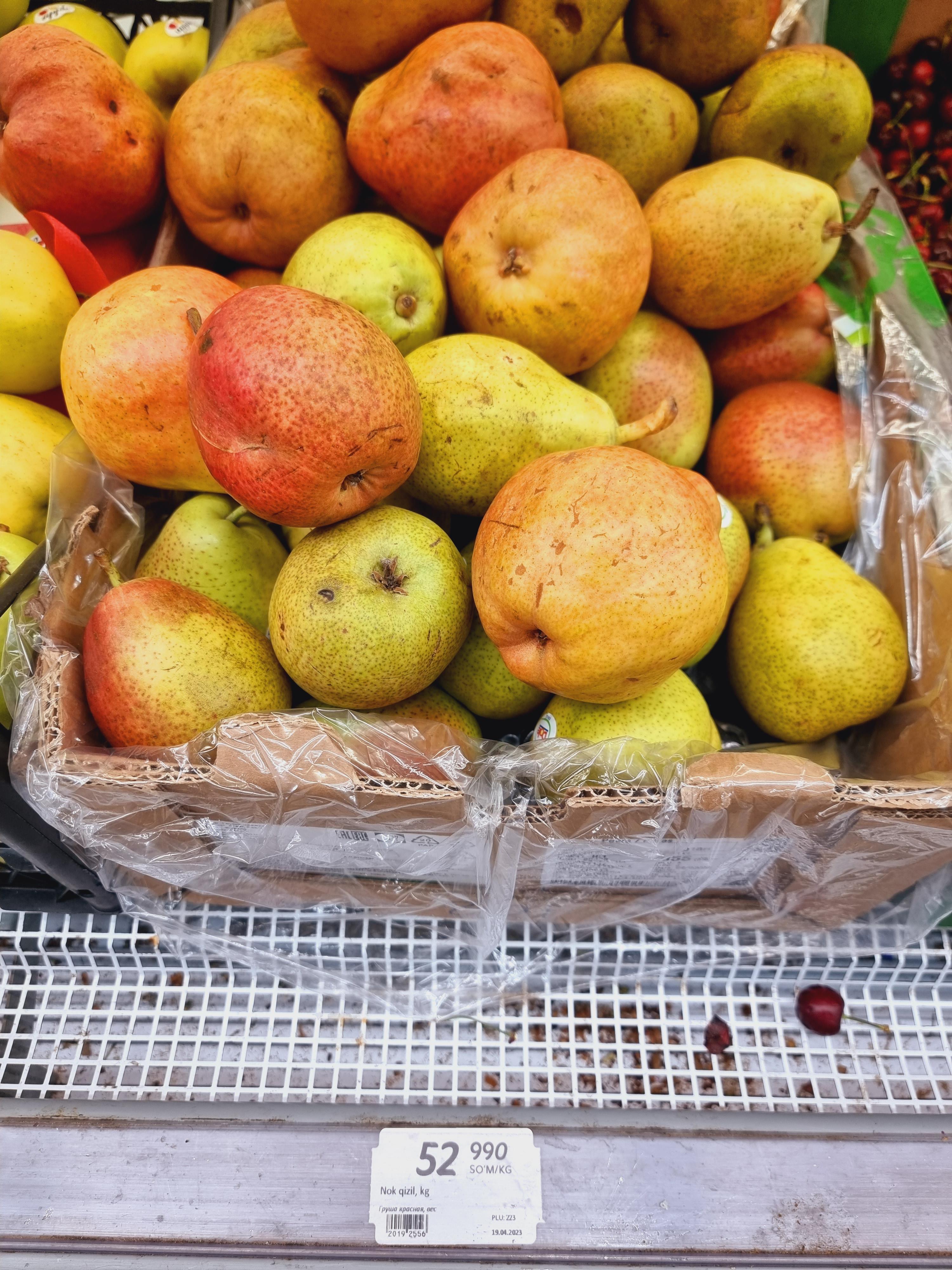 우즈베키스탄 배