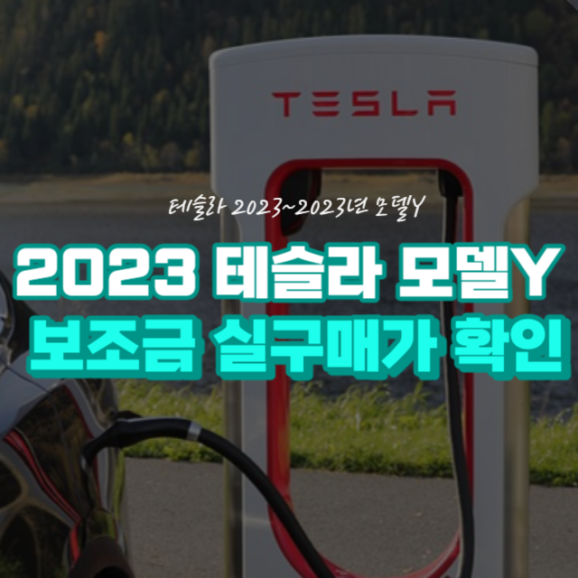 테슬라 모델Y