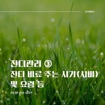 비료 주는 시기 기비 추비 요소 인산 가리 엽면시비_2